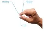 Chordata Patented Chip Technology