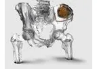Dicom to Print - 3D Medical Image Processing Software