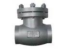 Speciality - Cryogenic Check Valve