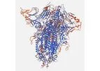ExcellGene - Stabilized Wuhan Trimeric Spike Protein
