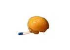 TPS - Customized Adult Brain phantom for Multipurpose