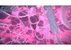 ILS Rastrum - 3D Bioprinting Technology