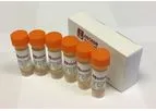 cfDNA Extraction Sensitivity Panels & Controls