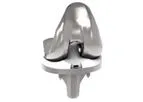 Truliant Porous - Knee System