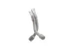 Altura - Endograft System