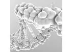 Molecular Counting Technology