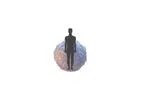 InSphero 3D InSight - Human Islet Microtissues Uniform