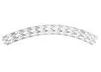 Amg - Model ITRIXII - Sirolimus-Eluting Coronary Stent Implantation System