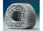 TigerShark - Model C - Revolutionizing Spinal Surgery Allograft