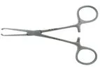 ALLIS - Model BR64-10212 - Tissue Forcep