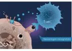 NEC - Neoantigens Enable Personalized Cancer Immunotherapy Technology