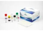 Calbiotech - Model PS235T - Prostate Specific Antigen(PSA) ELISA