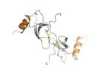 Protein-Foundry - Model CCL5 - PFP020 - Recombinant Human Protein Cell