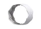 BeGraft - Aortic Stent Graft System