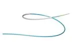 BeGraft - Model Coronary - Stent Graft System