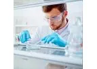 Model aProximate - Proximal Tubule