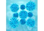 Detection of Hepatitis C Virus (HCV) Kit