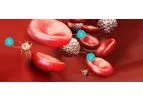 Autologous Cell Therapies