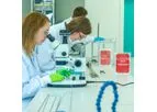 Catheter Manufacturing Services