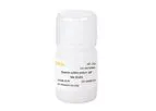 Yeasen - Model MW:36000~50000 - Dextran Sulfate Sodium Salt (DSS)