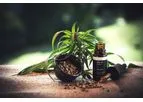 Cannabinoids Service