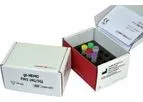 GENERI BIOTECH - Model gb HEMO PAI1 (4G/5G) - IVD Kit for Thrombophilic Mutations