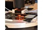 Precise Bio - Bio-Printing Transplantable Organs and Tissues