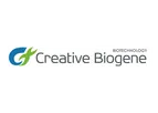 creative biogene - Replication-Competent Adenovirus Testing