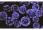 KeySeeQ - Model 2S1 - Cell and Tissue Graft Hybrids Technology