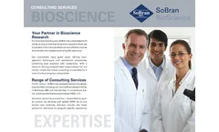Consulting Services