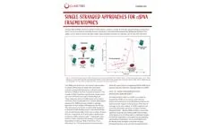 Single-Stranded Approaches to Cell-Free DNA Fragmentomics - Brochure