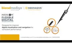 Flexible Digital Ureteroscope -Indoscope - URS by BioradMedisys - Video