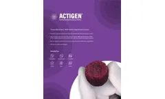 ACTIGEN - Verified Inductive Bone Matrix - Brochure