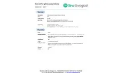 Sino - Model SSA019 - Goat Anti-Rat IgG Secondary Antibody - Brochure