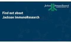 Find out about Jackson ImmunoResearch Secondary Antibodies - Video