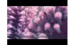 Effect of Hyperosmolarity on the Ocular Surface and Visual Acuity - Video