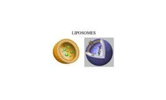 Targeted delivery system based on liposome.