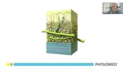 DEEP OSCILLATION certified. Correct use and applications - Video