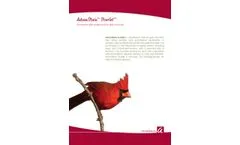 HRP-Conjugated Secondary Antibodies - Brochure