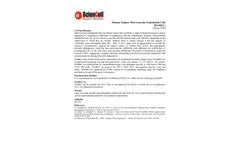 ScienCell - Model HAMEC 7200 - Human Adipose Microvascular Endothelial Cells - Brochure
