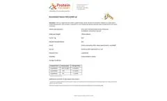 Protein Foundry - Model CXCL12 - PFP001 - Recombinant Human Protein Cell  - Brochure