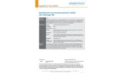Model 3 (NS3), HCV (Sub-Type 1B) - Recombinant Non-Structural Protein - Datasheet