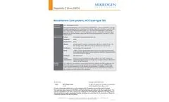 Model Sub-Type 1B - Recombinant Core protein, HCV - Datasheet