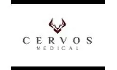 Cervos Master Class 5 21  - Video