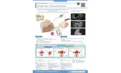 Kyoto Kagaku - Model 41909-000 - Female Pelvic Ultrasound Phantom for Gynecology Datasheet