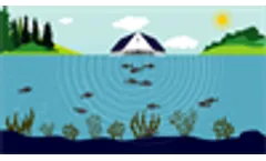 How LG Sonic Ultrasound Technology Controls Algae