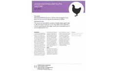 Hygieia - Avian Encephalomyelitis Vaccine - Brochure