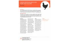 Hygieia - Avian Encephalomyelitis-Fowl Pox Vaccine - Brochure