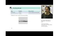 Quantitative Western Blotting: How to Improve your Data Quality and Reproducibility Video