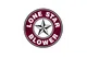 Lone Star Blower, Inc.